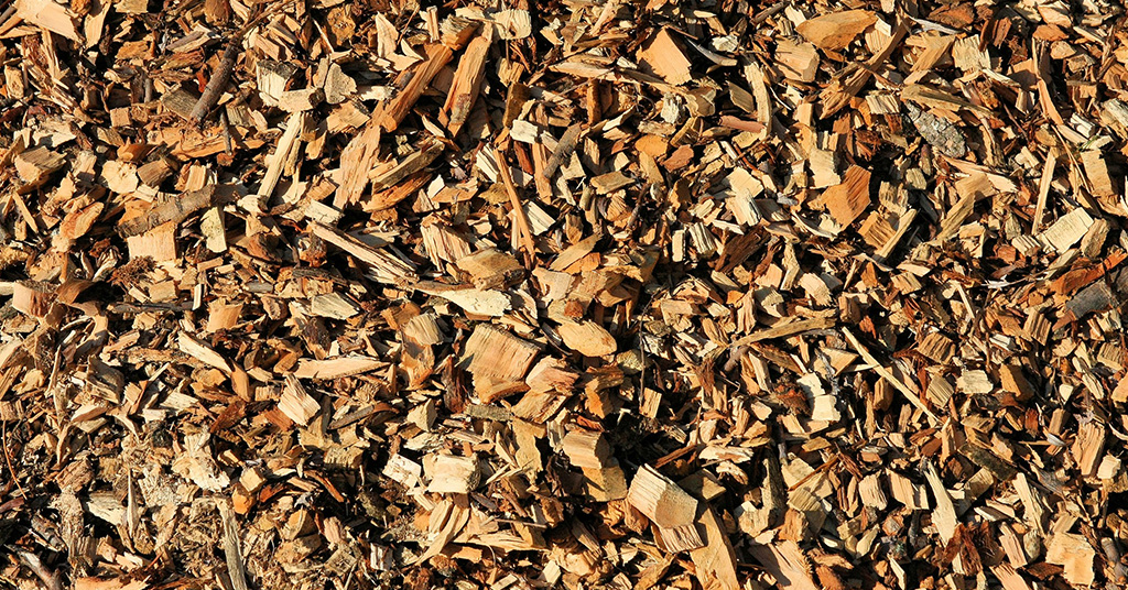 Harnessing the Remnants: Sustainable Ways to Dispose of Stump Grinding Wood Chips