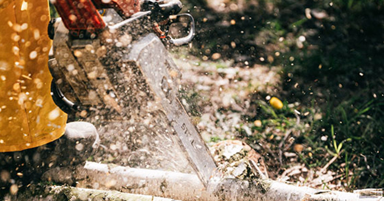 Safeguard Your Surroundings: Stump Grinding Safety Precautions to Know