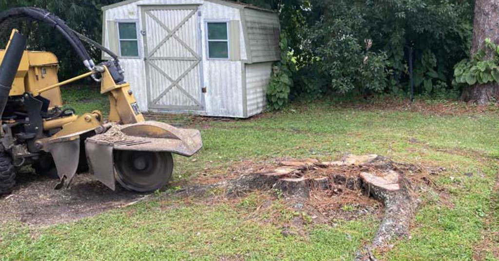 Enhancing Property Value: The Benefits of Stump Grinding for Landlords