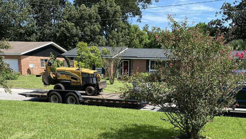 stump grinding baldwin fl; stump grinding calahan fl; stump grinding gainesville fl; stump grinding jacksonville; stump grinding jacksonville fl; stump grinding orange park fl; stump grinding st augustine fl; stump grinding yulee fl