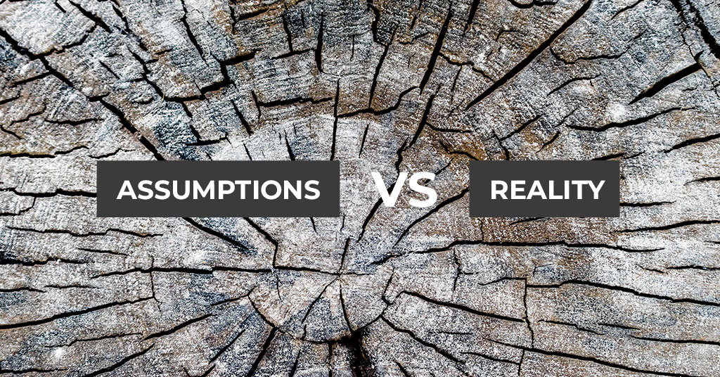 Unearthing the Truth: Stump Grinding Assumptions vs Reality