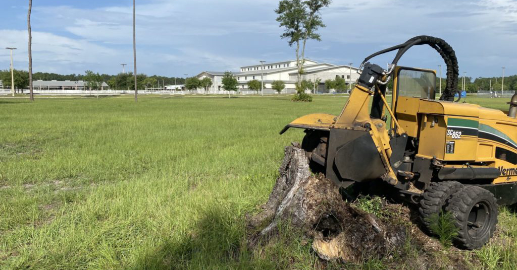 What does grind the stump mean?