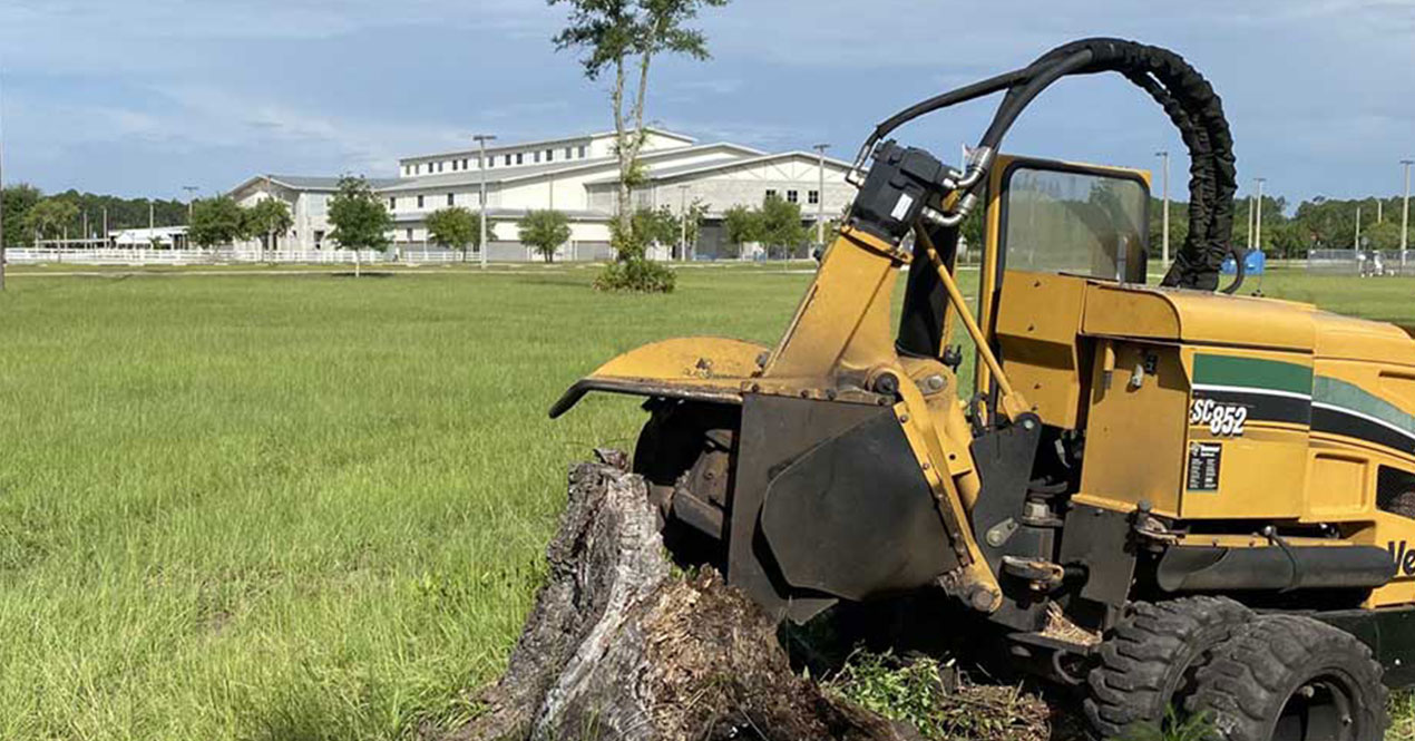 What to expect during the stump grinding process?