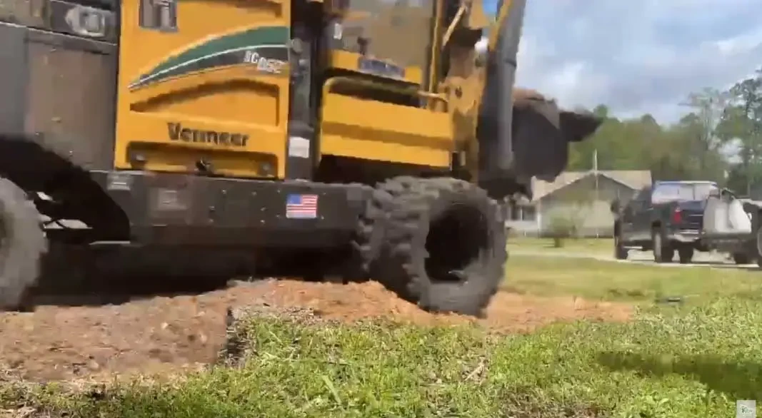 Stump Grinding Jacksonville FL