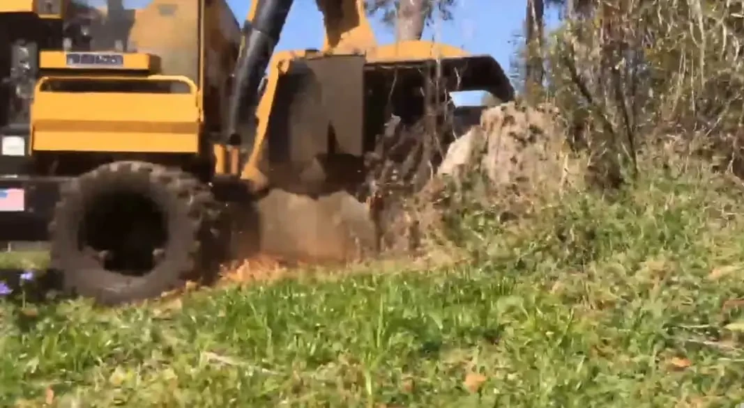 Stump Grinding Jacksonville